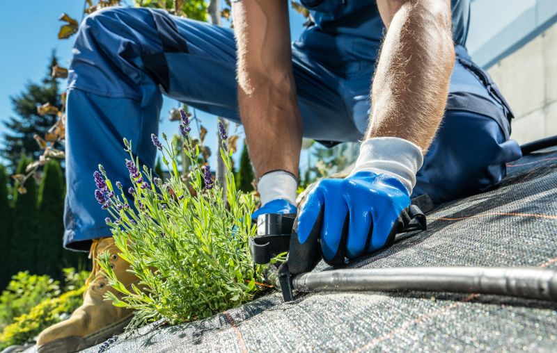 Drip Irrigation Service