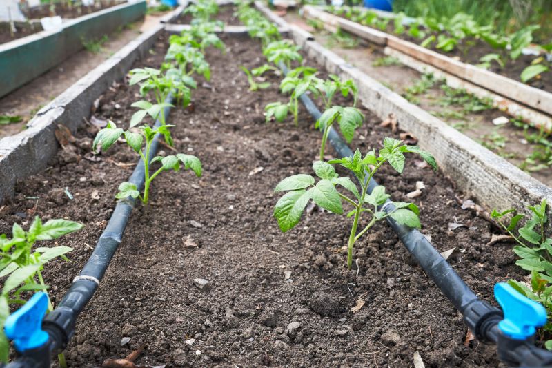 Drip Irrigation Service