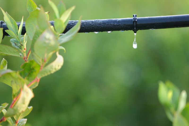 Drip Irrigation Service