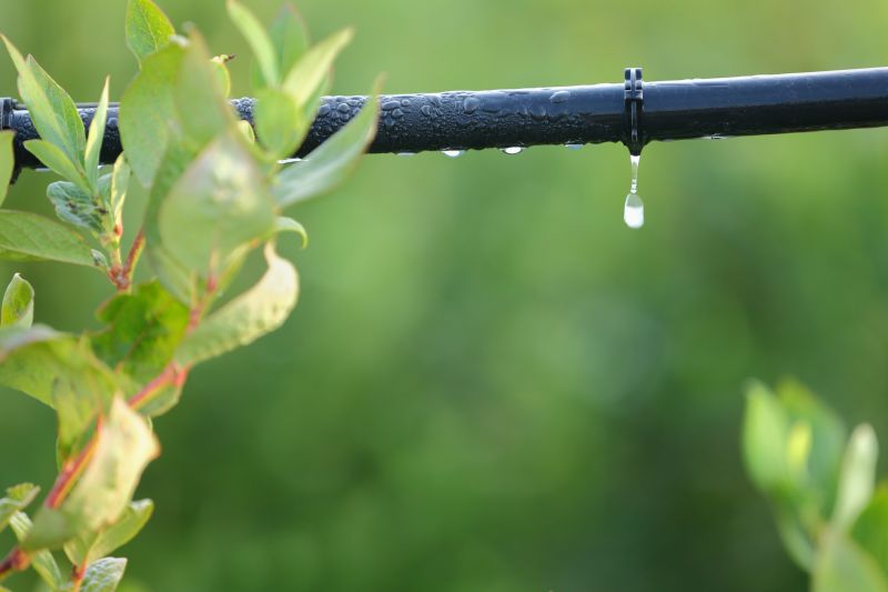 Drip Irrigation Service