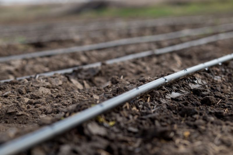Drip Irrigation Service
