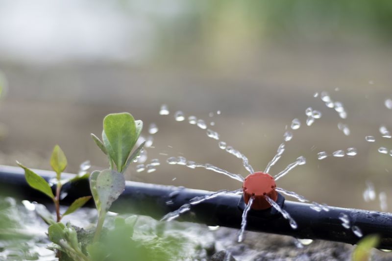 Drip Emitters