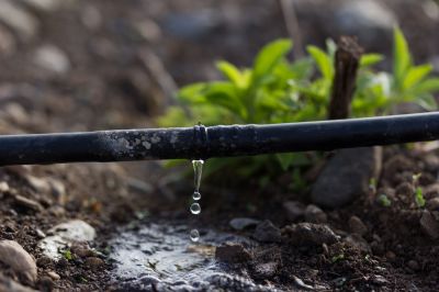 Get Less Evaporation and Runoff with Drip Irrigation Service!