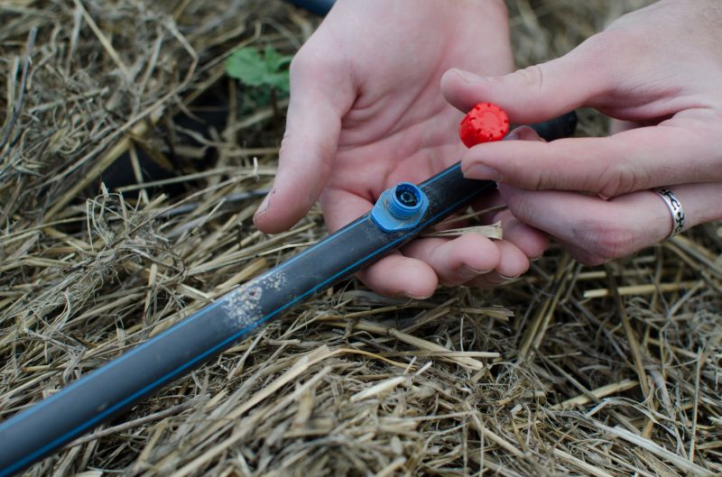 Local Drip Irrigation Service pros at work