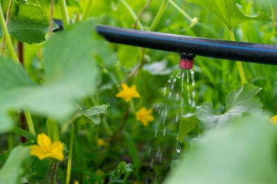 Reduce Water Waste with Drip Irrigation Service!